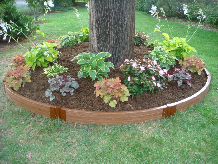 Клумба под яблоней