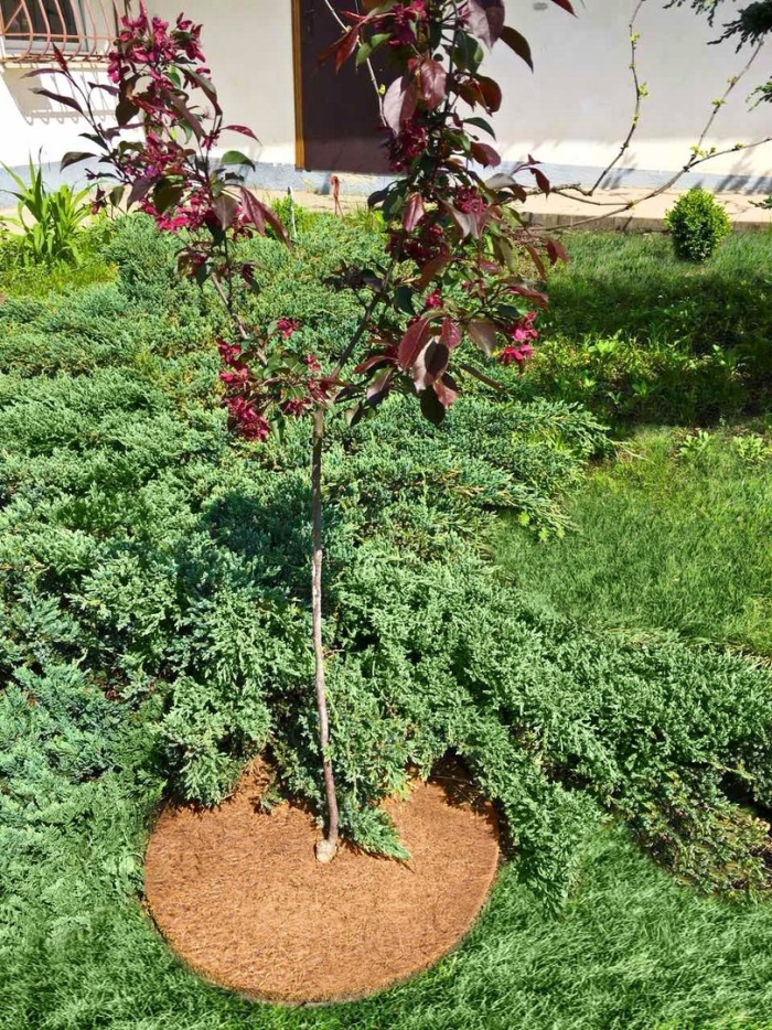 Круг приствольный мульчаграм 40 см