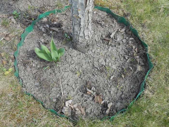 Бордюр садовый palisad