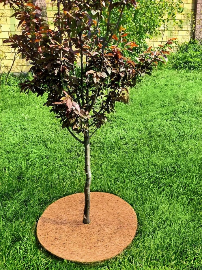 Круг приствольный мульчаграм