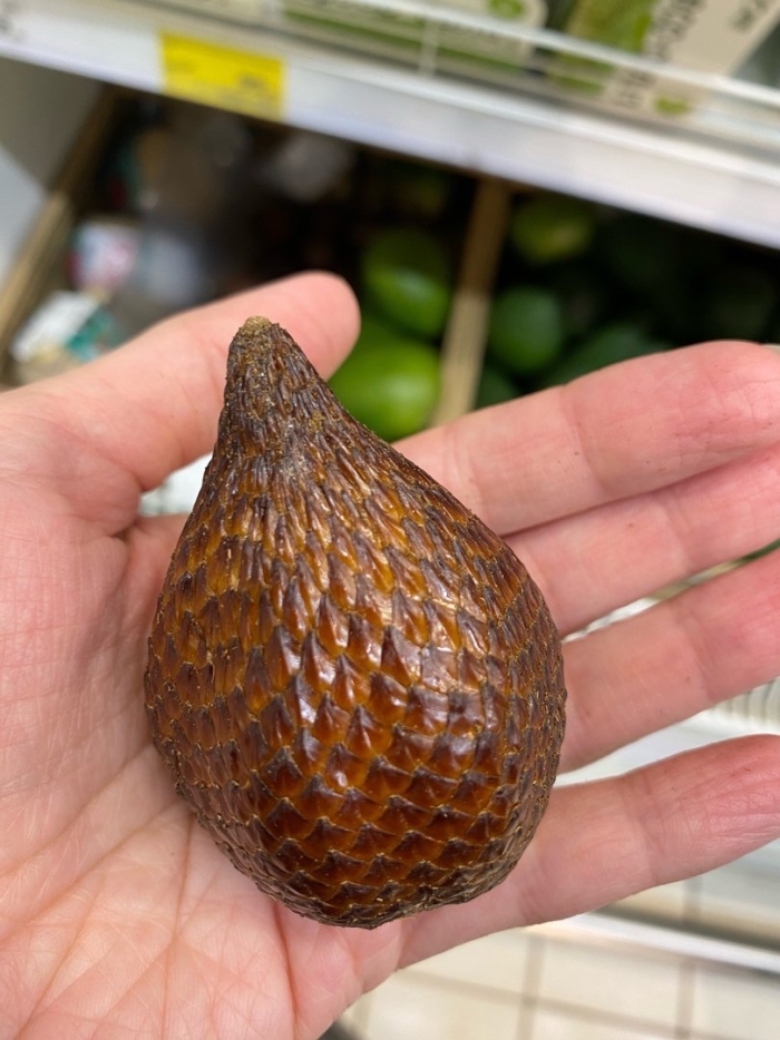 Змеиный фрукт салак