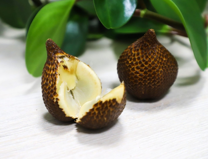 Змеиный фрукт салак