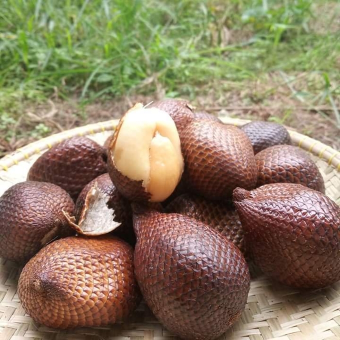 Тайский фрукт салак