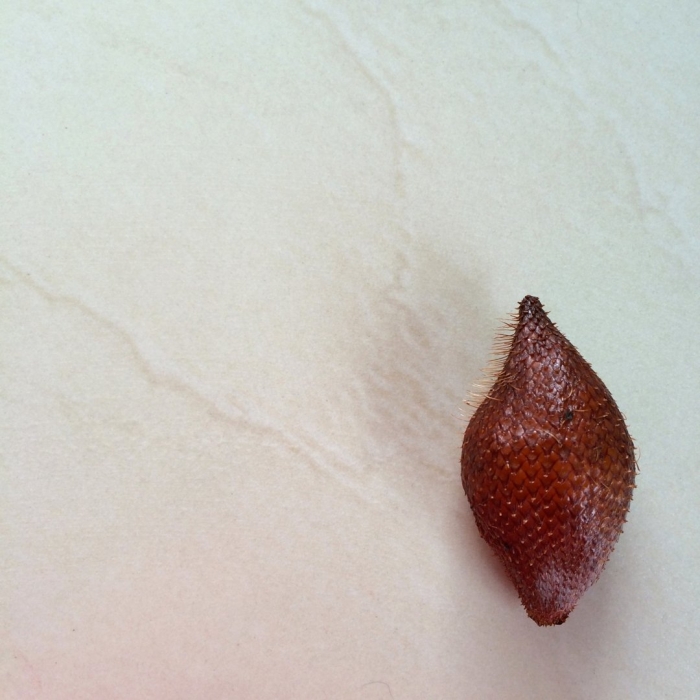 Салака фрукт