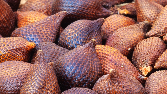 Салака змеиный фрукт