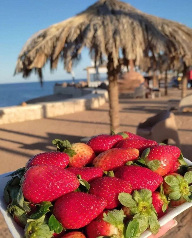 Пляж египет