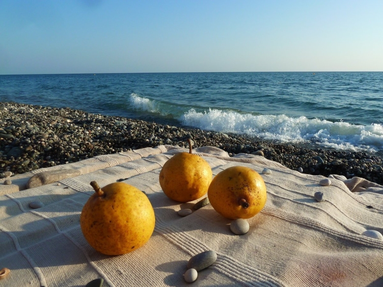 Мандарин Гагра Абхазия