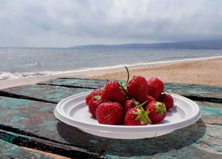 Море клубники