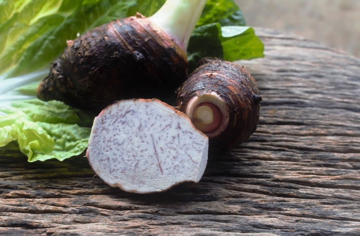 Таро колоказия съедобная