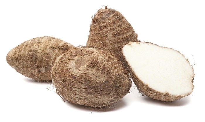 Колоказия -таро клубни