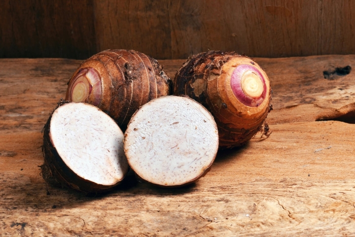 Таро корнеплод