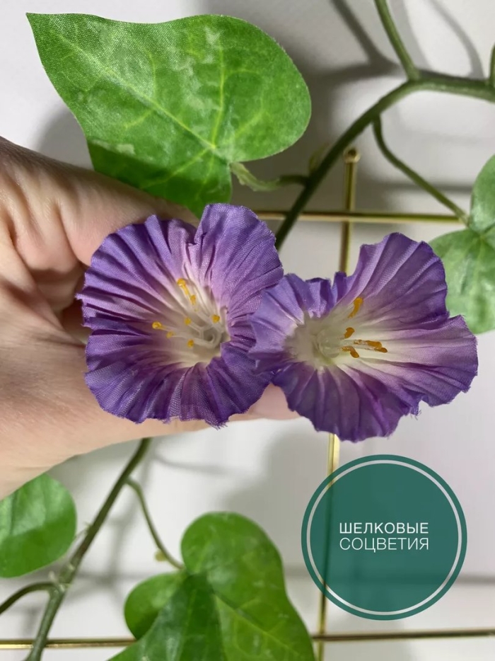 Лиана кобея