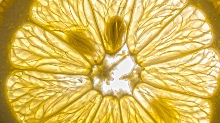 Лимон в разрезе