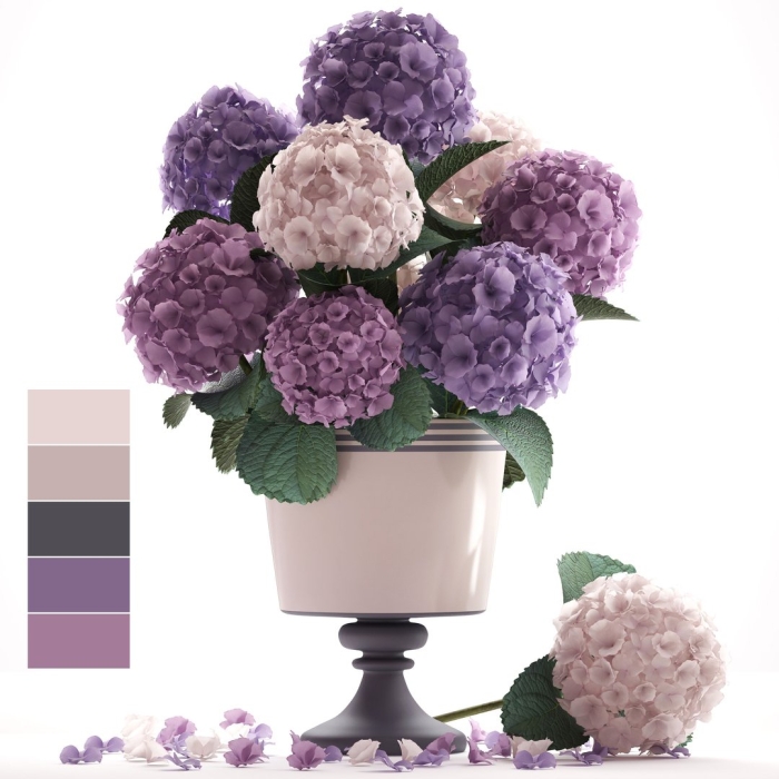 Hydrangea 3d max