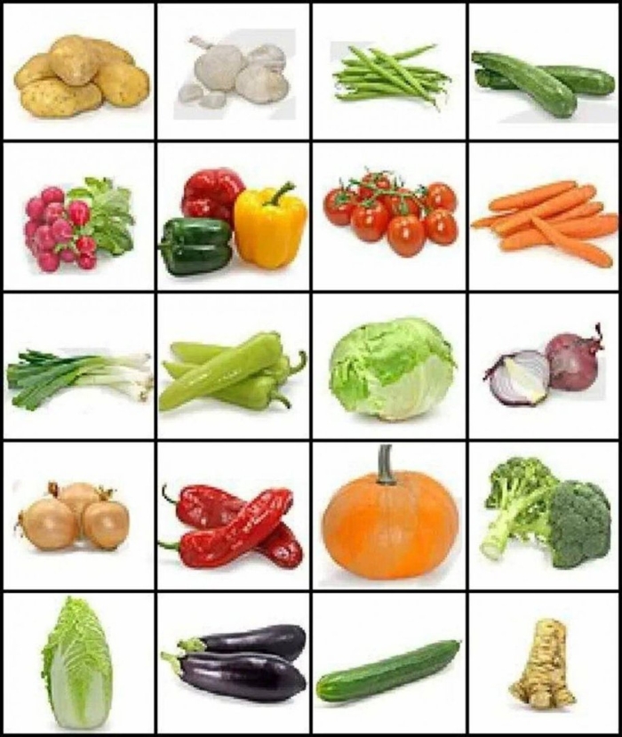 Овощи для детей карточки