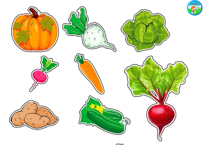 Дидактическая игра овощи