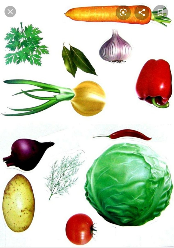 Рисунки овощей