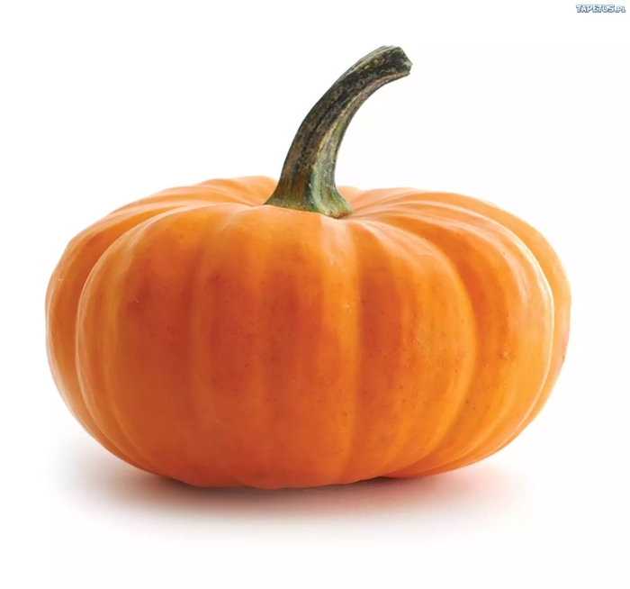 Тыква на белом фоне
