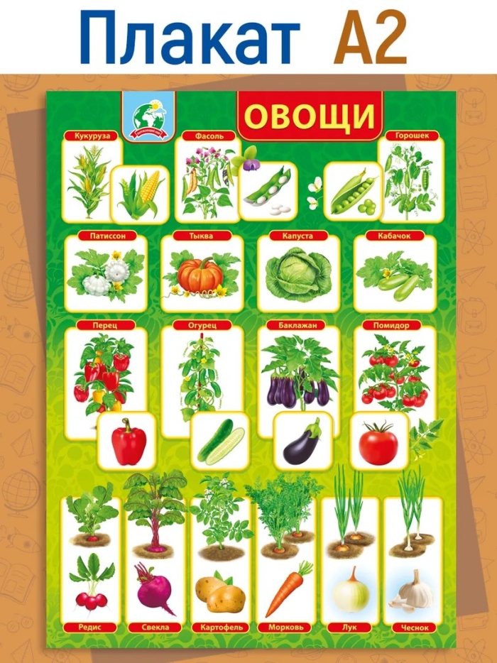 Плакат овощи для детского сада