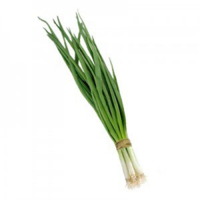 Лук зеленый