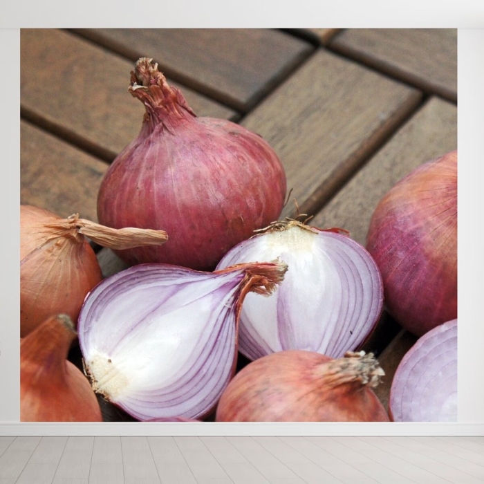 Лук красный репчатый
