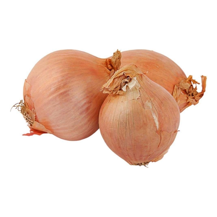 Лук севок купидо