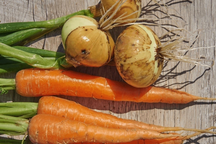 Лук морковь