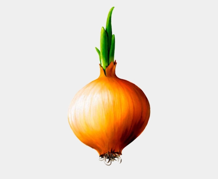 Лук для детей