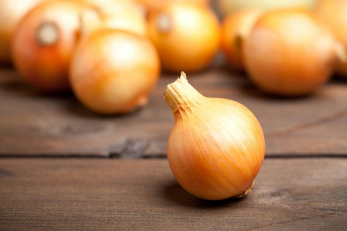 Севок золотистый семко