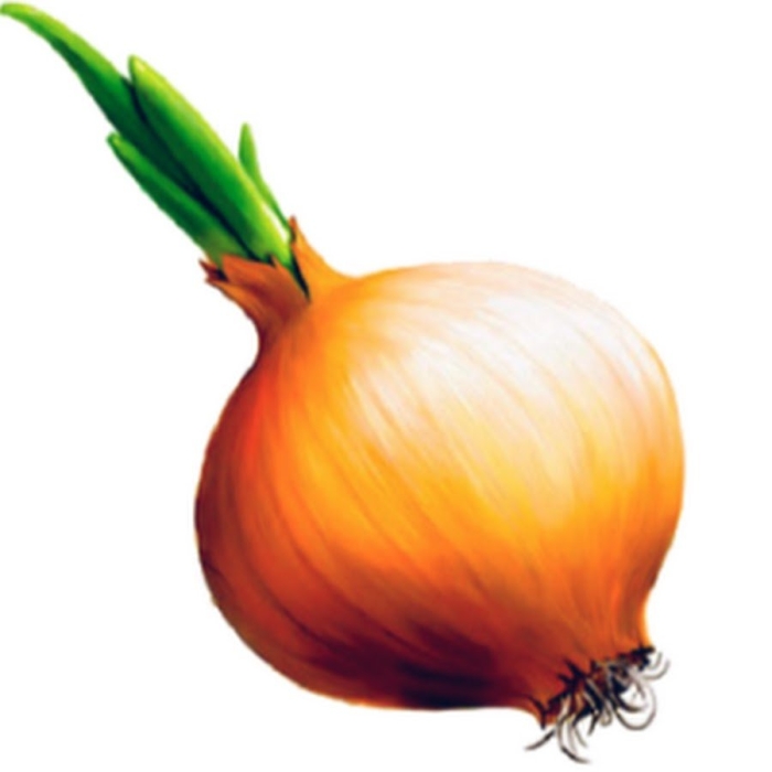 Карточки овощи для детей