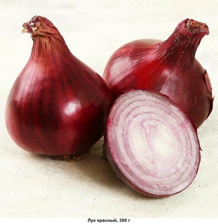 Лук севок ред кармен