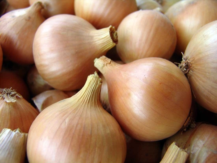 Лук сорта шетана