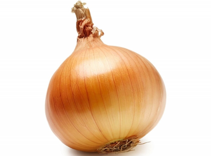 Репчатый лук