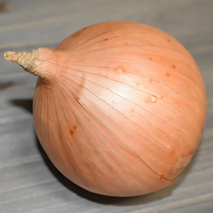 Лук центурион