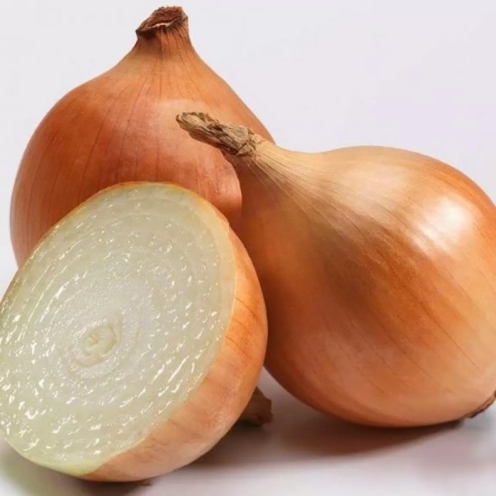 Лук-севок купидо f1