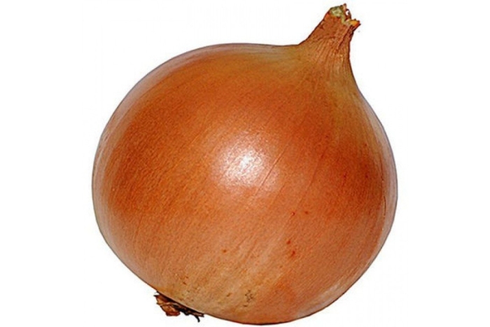 Лук репчатый борец f1