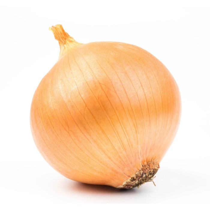 Лук репчатый визион