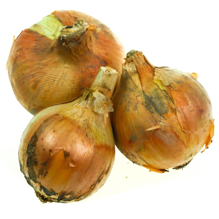 Лук репчатый новый урожай