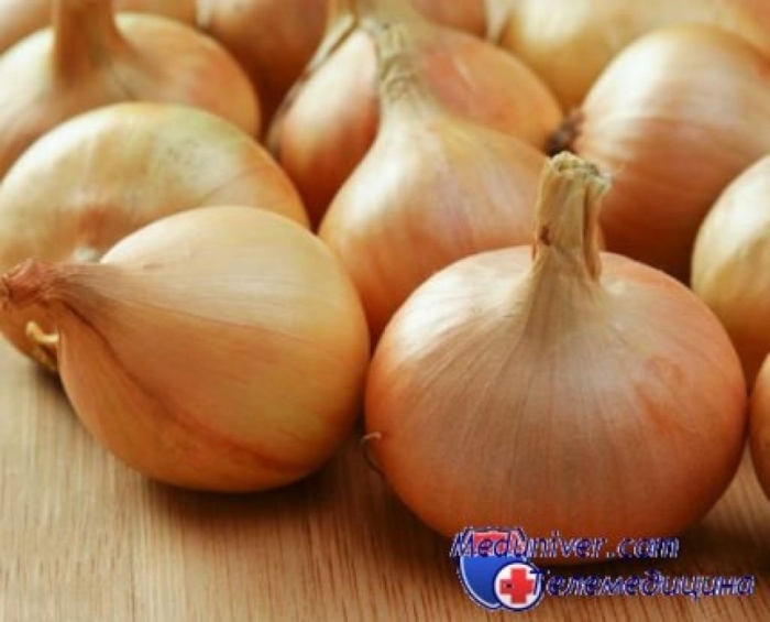 Лук севок стурон