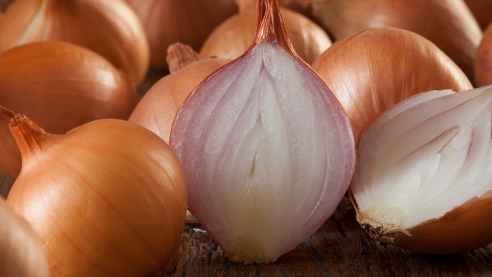 Лук центурион