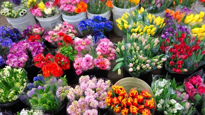 Срезанные цветы