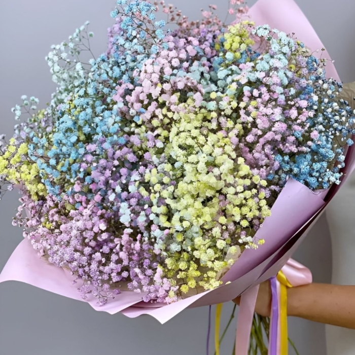 Гипсофила радужный микс