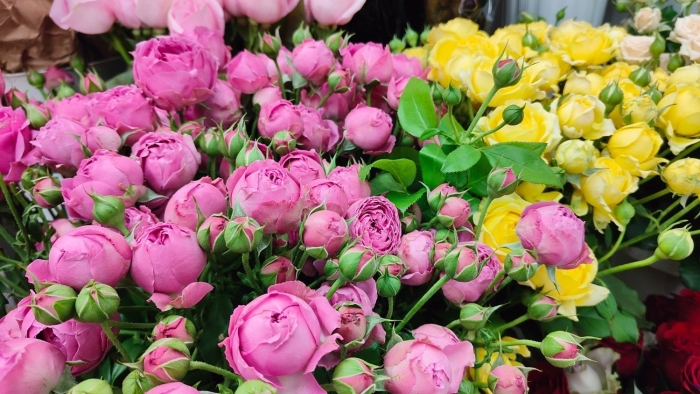 Цветочный бум