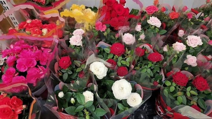 Цветы живые