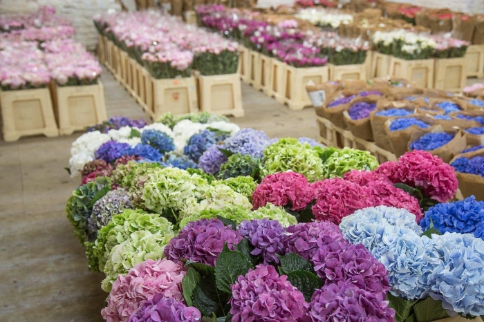 Склад цветов