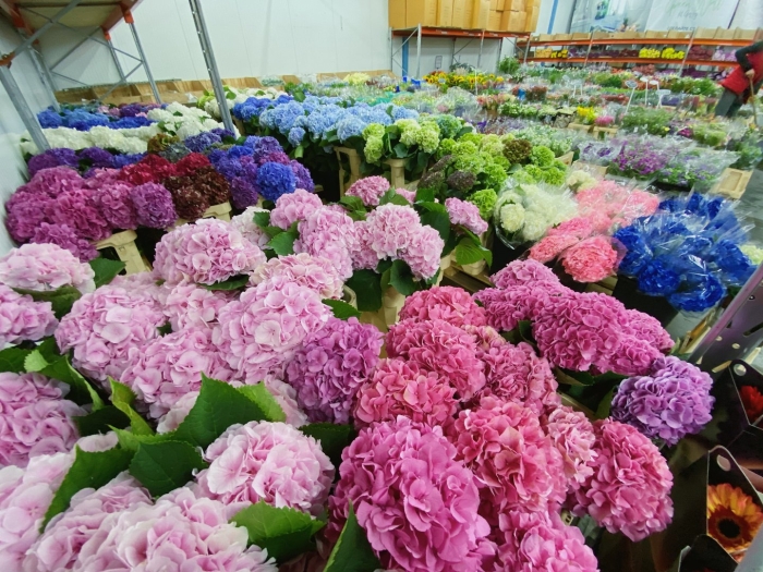 Оптовый центр цветов