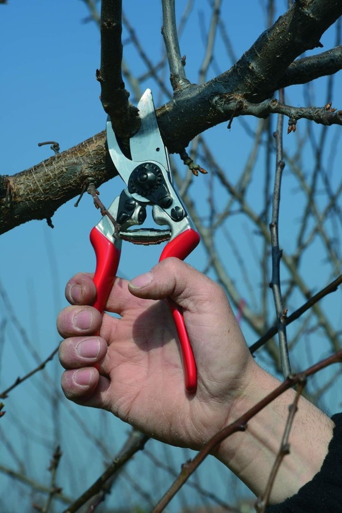 Секатор pruning shears