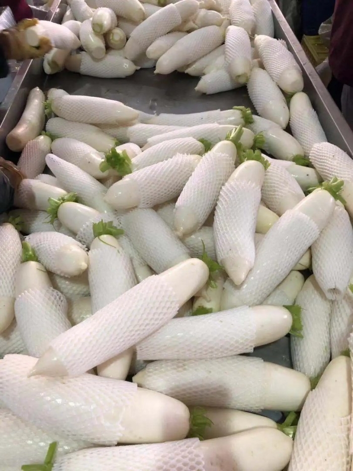 Белый редис