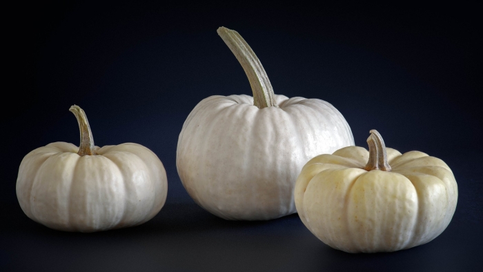 Белая тыква