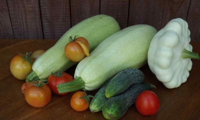 Кабачки патиссоны тыквы